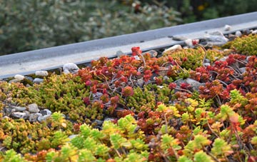 the cost of Migvie green roof installation