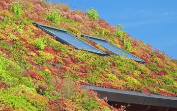 Migvie living roof systems