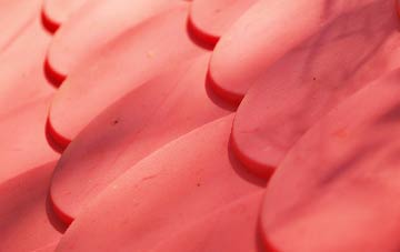 Migvie plastic roof costs