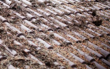 Migvie roof cleaning companies